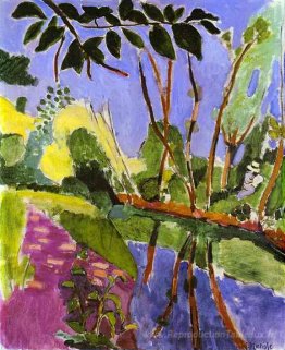 La rive du fleuve