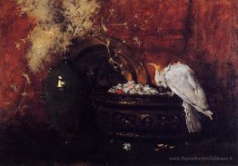 Nature morte avec Cacato