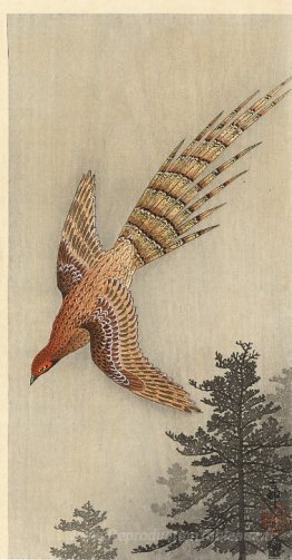 Caille sur la forêt