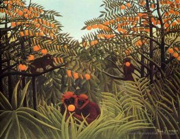 Singes dans l'orange