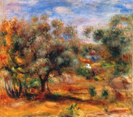 Paysage près de Cagnes