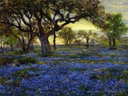 Old Live Oak Tree et Bluebonnets sur le terrain militaire de l'o