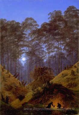 À l'intérieur de la forêt sous le clair de lune