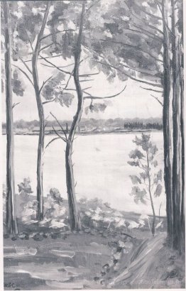 Une vue sur Mimizan