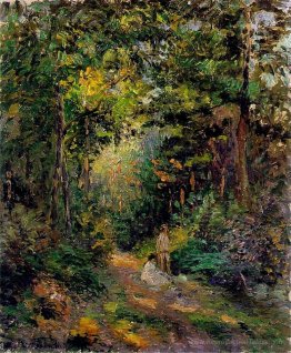 Automne, chemin à travers les bois