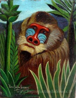 Mandrill dans la jungle