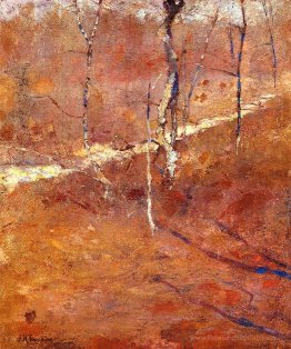 Paysage