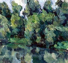Arbres près du lac