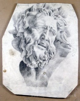La tête de Laocoon
