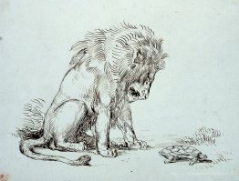 Lion et tortue