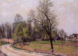 Edge de la forêt au printemps, soir