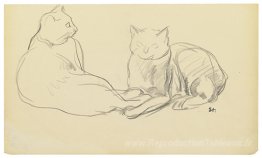 Deux chats