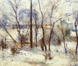 Jardin sous la neige