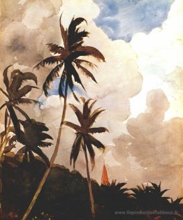 Palmiers (Bahamas)