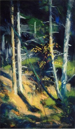 Paysage du Maine