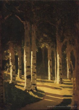 Lumière du soleil dans le parc