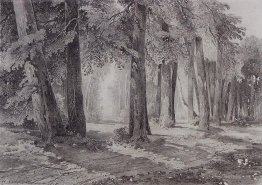 Dans le parc