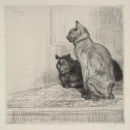 Deux chats sur une armoire