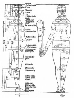 Études sur les proportions du corps féminin
