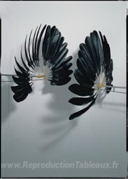 Le jumeau du corbeau
