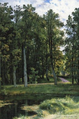 Route forestière
