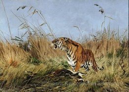 Le tigre