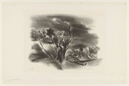 La tempête