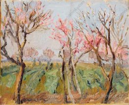 Jardin près de Rome. Pêches en fleurs.