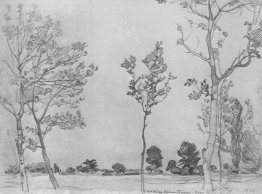 Arbres à Baran-Eli