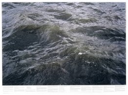Sans titre (de la série Still Water (la Tamise de la rivière, pa