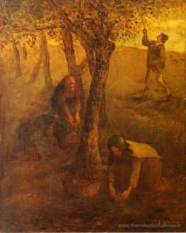 Rassembler des pommes