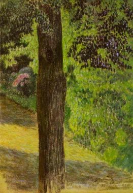 Un chemin dans un jardin