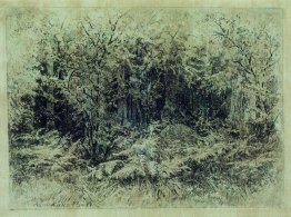 Fourmilière