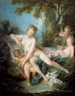 Vénus Confort Amor