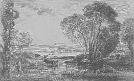 La touffe d'Alders