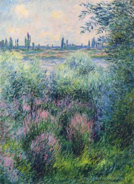 Spot sur les rives de la Seine