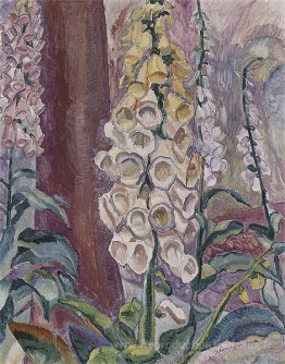 FoxGloves grandir