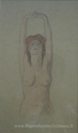 Dessins nus