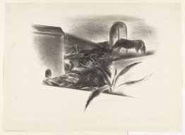 Paysage occidental