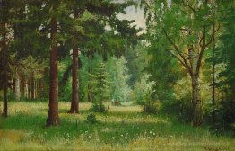 Enfants dans la forêt