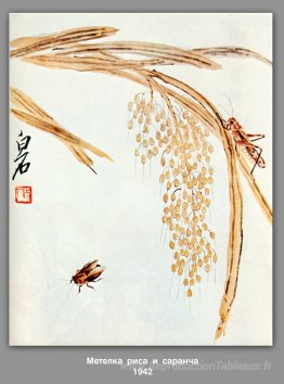 Fouetter le riz et les sauterelles