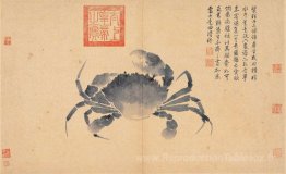 Crabe (croquis de la vie)