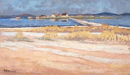 Paysage - Messolonghi lagon