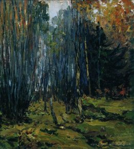 Forêt d'automne