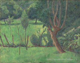 Paysage