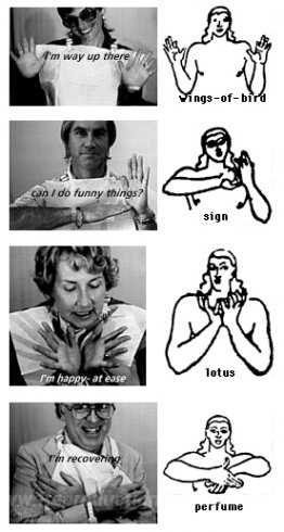 Mudra numérique