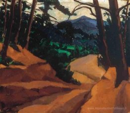 Paysage forestier