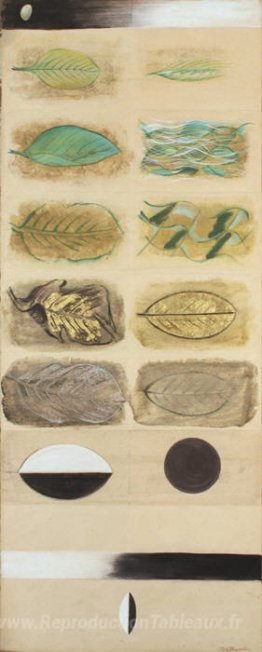Cycle de vie d'une feuille