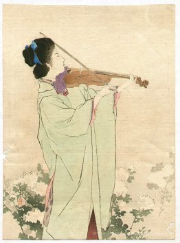 Violon
