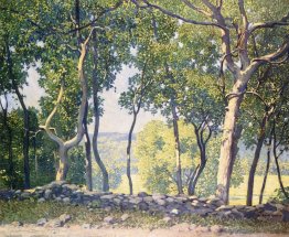 Le mur de pierre